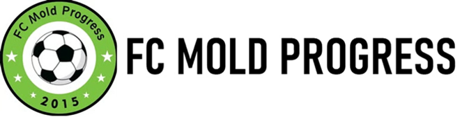 FC Mold Progress